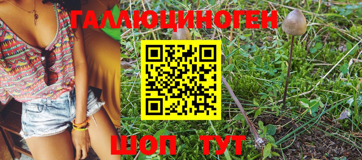 Псилоцибиновые грибы Psilocybe  Псилоцибиновые грибы ЛСД  Полевской  Вход с VPN 