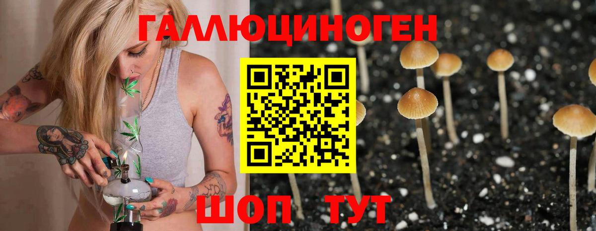 Галлюциногенные грибы мицелий Полевской